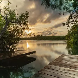 Yaxchen Eco Lodge&cenote Lodge Tulum